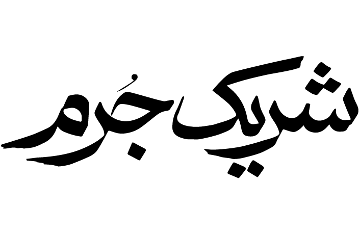 سریال شریک جرم
